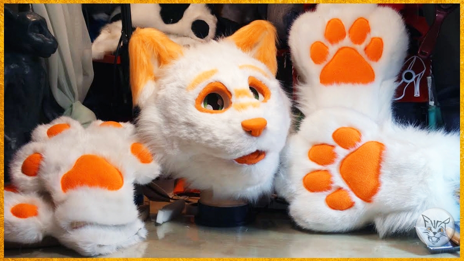 Head and handpaws and feetpaws