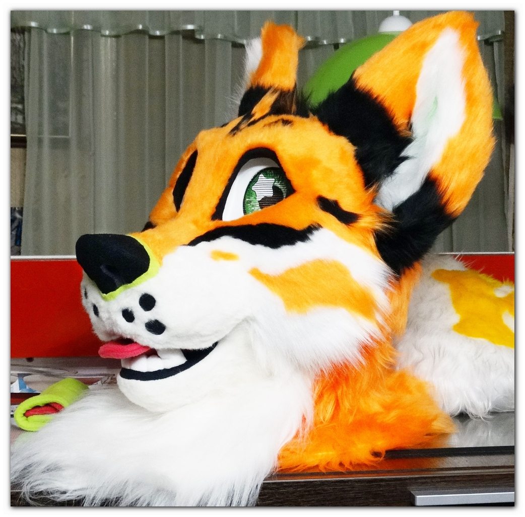 Our fursuit's head #Oraiste #furr_club #fursuit