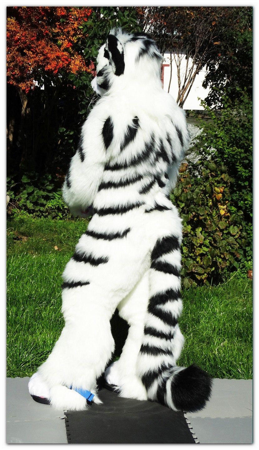 #Taymur_the_Tiger #FurR.CluB #fullsuit