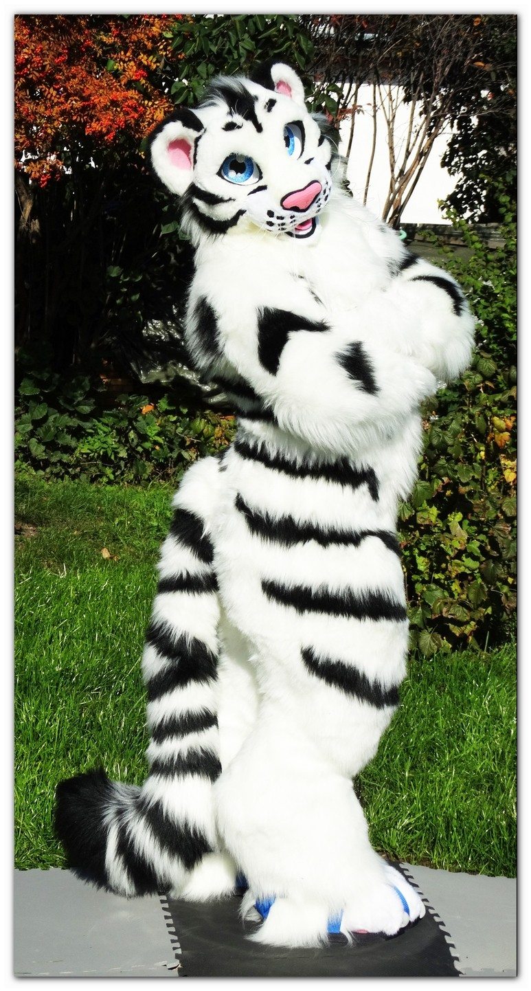 #Taymur_the_Tiger #FurR.CluB #fullsuit