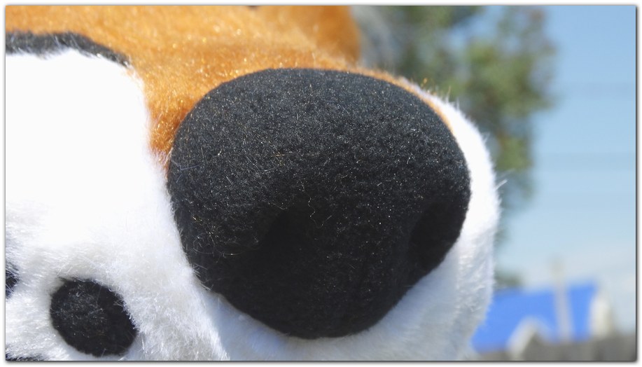 Nose for Vitallion Fox fursuit project #Foxfursuit #furr_club #fursuit