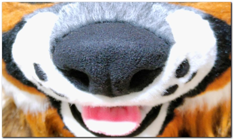 Nose of fursuit project Taymur-II Tiger fursuit #Red Panda II fursuit_project-fursuit #furr_club #fursuit