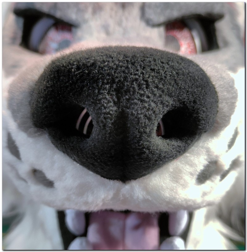 Nose of fursuit project Taymur-II Tiger fursuit #Kaida Wolf fursuit_project-fursuit #furr_club #fursuit