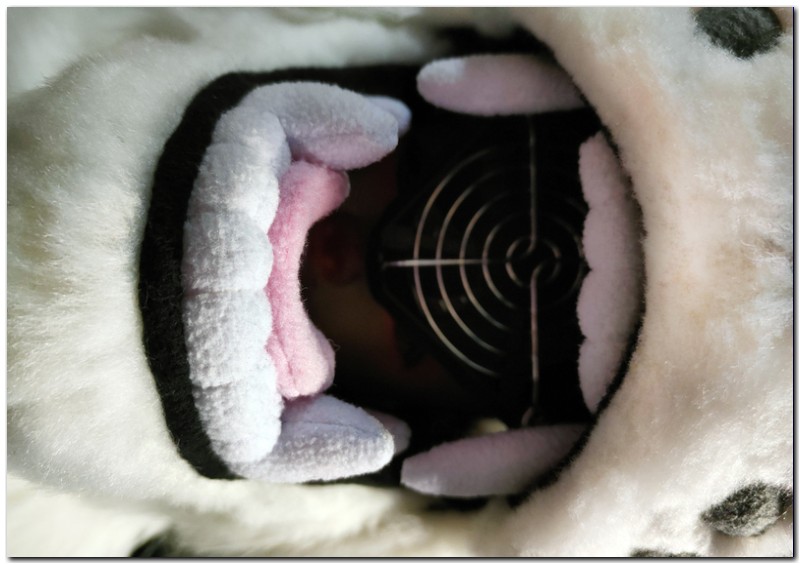 Tongue for Taymur-II Tiger fursuit project #Kaida Wolf fursuit_project-fursuit #furr_club #fursuit