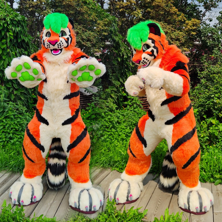 #furr_club #fursuit #Tiger fursuit