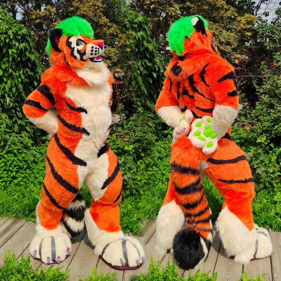 #furr_club #fursuit #Tiger fursuit