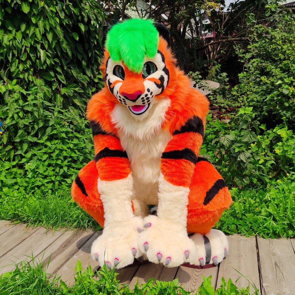 #furr_club #fursuit #Tiger fursuit