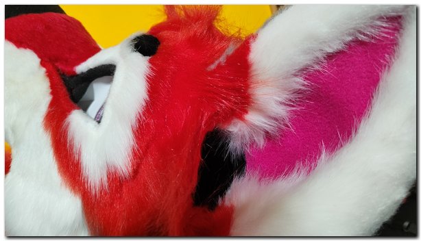 Ears of fursuit project Tiaki #Dog fursuit #furr_club #fursuit