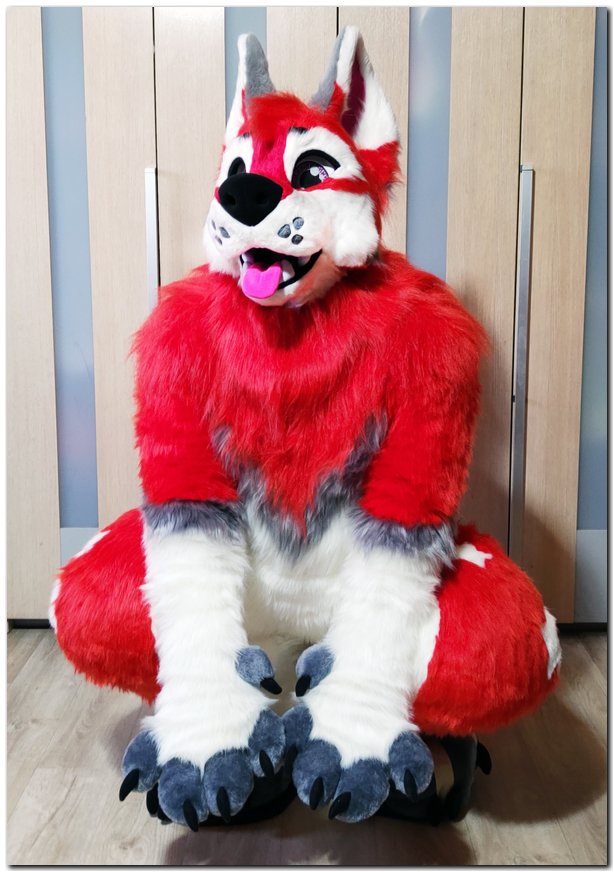 Dog fursuit