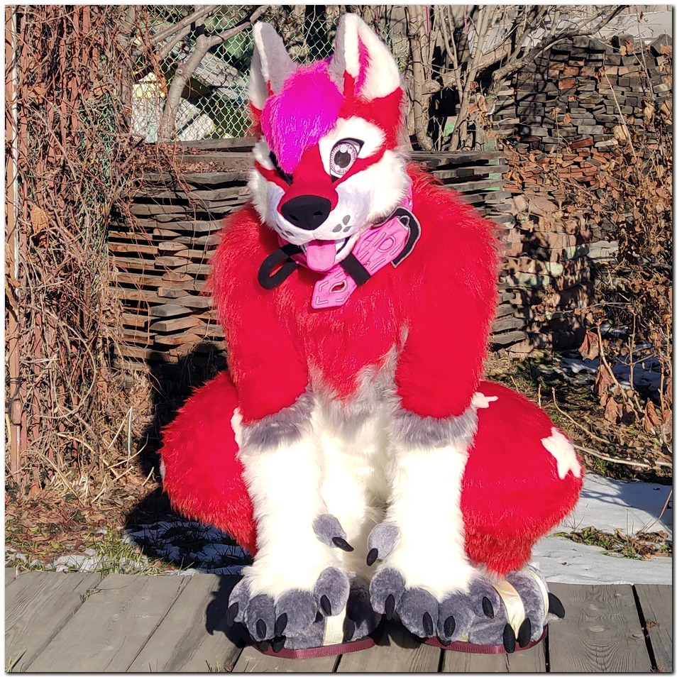 Dog fursuit