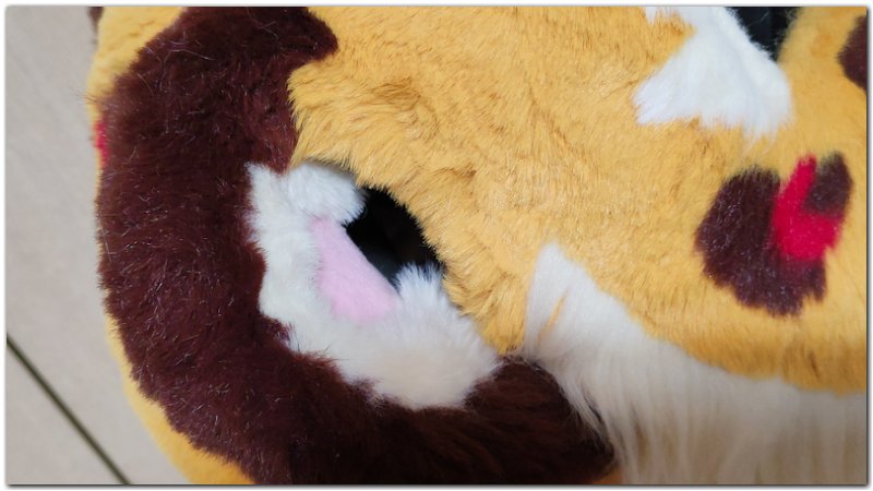Ears of fursuit project Tiaki #Leopard fursuit #furr_club #fursuit