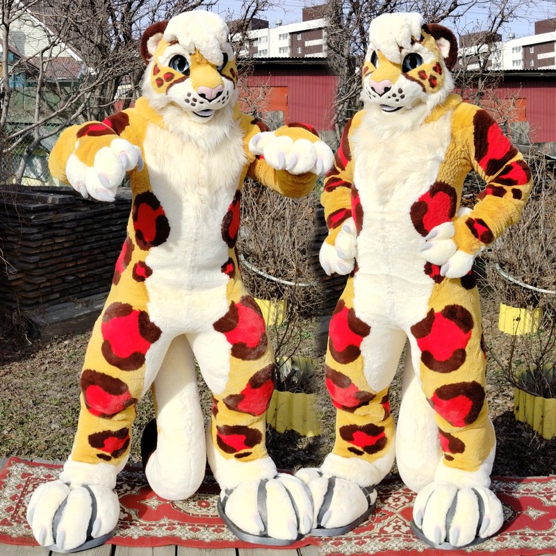 #furr_club #fursuit #Leopard fursuit