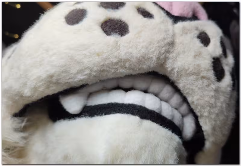 Tongue for Rangi the Leopard fursuit project #Leopard fursuit_project-fursuit #furr_club #fursuit Tongue for Rangi the Leopard fursuit project #Leopard fursuit_project-fursuit #furr_club #fursuit