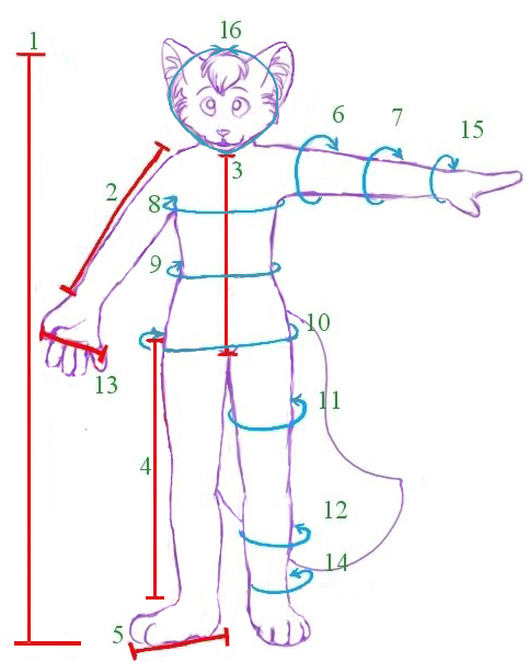 This page will help you take the correct measurements.