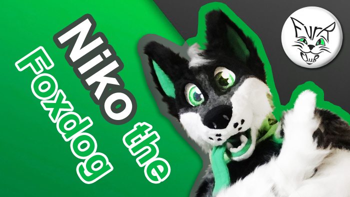 Project details of Niko the Foxdog