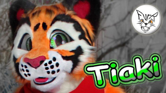 Tiaki the Tiger fursuit project