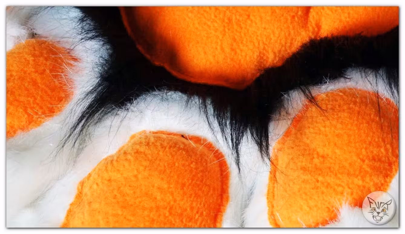 The paws – photo 4