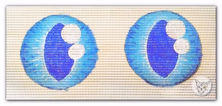 The eyes – photo 2