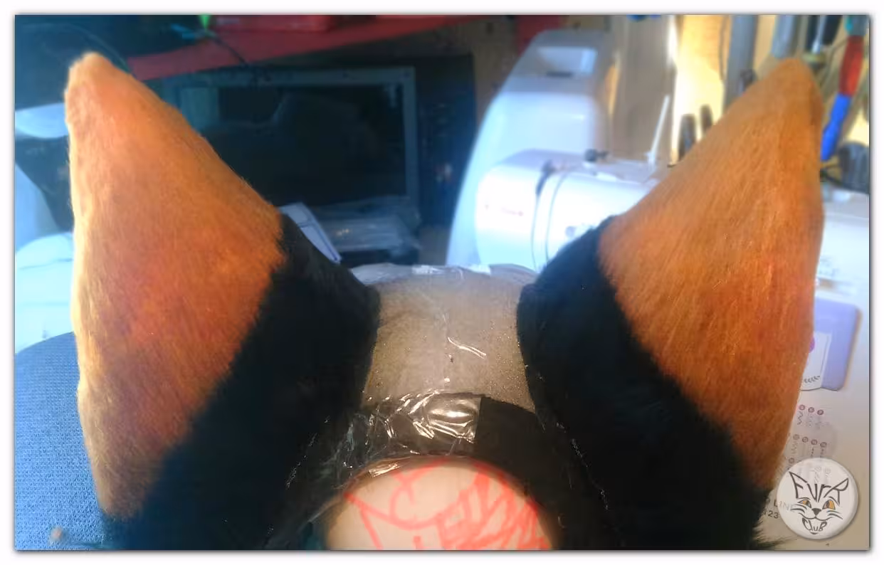 The ears – photo 5