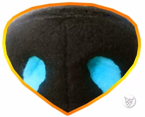 The nose – photo 1