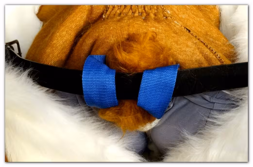 The tail – photo 3