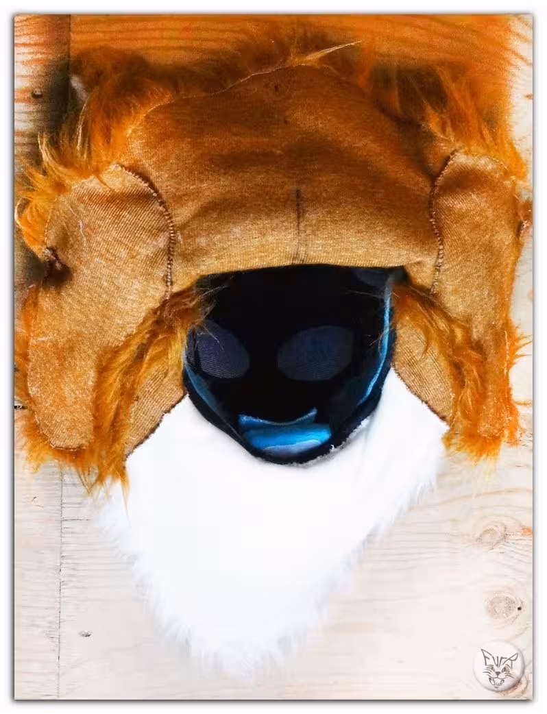 Apron for the head – photo 4