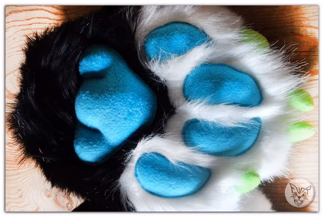Paws – photo 7
