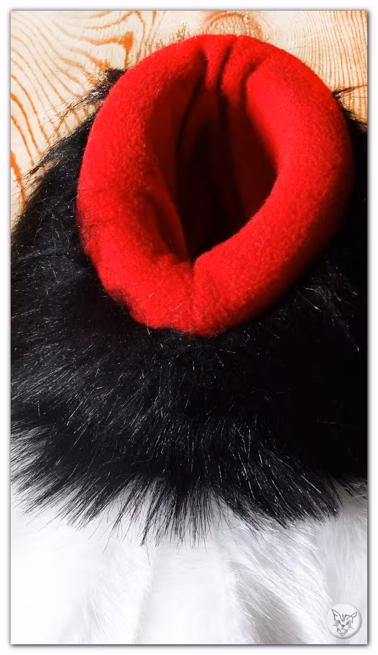 Paws – photo 5