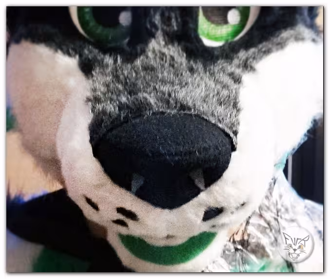The nose – photo 1