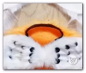 Nose – photo 5