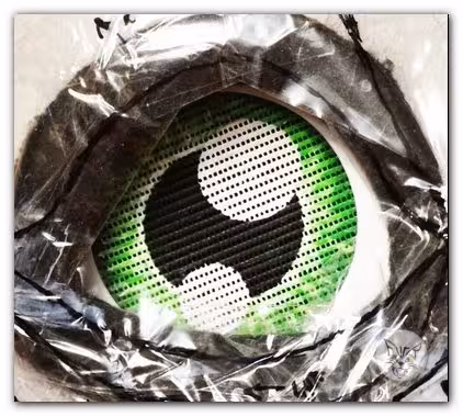 The eyes – photo 4