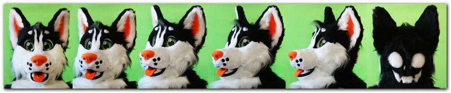 Our fursuit's head #dogfursuit #furr_club #fursuit