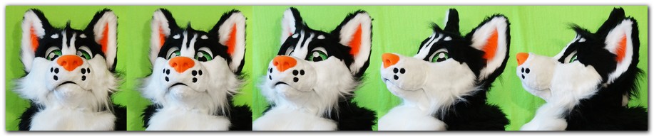 Our fursuit's head #dogfursuit #furr_club #fursuit