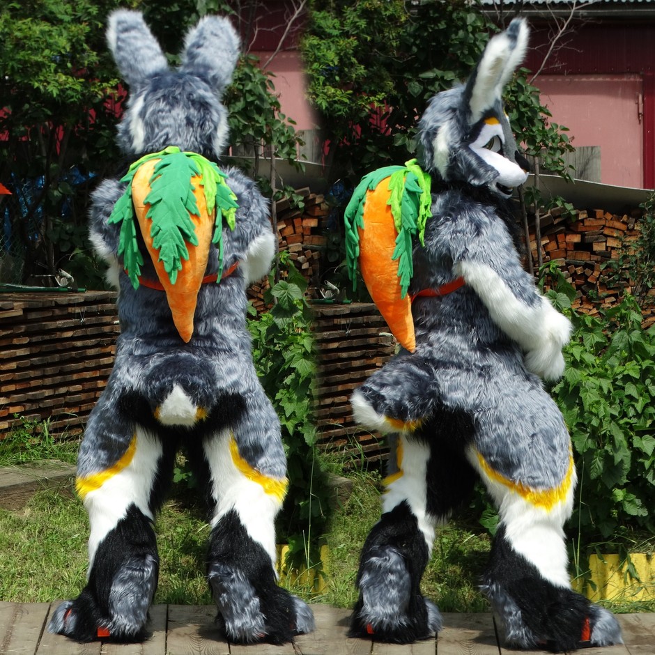 #furr_club #fursuit #KDub-The-Hare #carrot/backpack