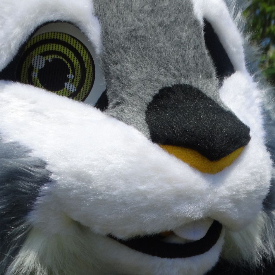 #furr_club #fursuit #KDub-The-Hare