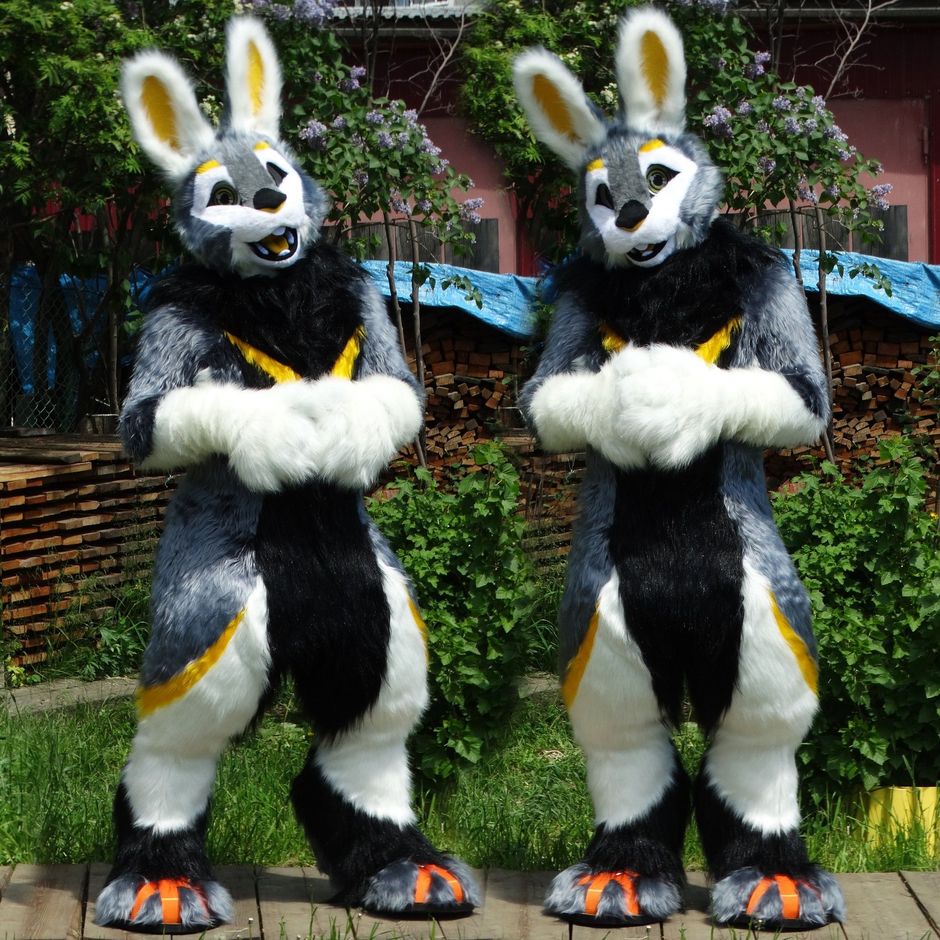 #furr_club #fursuit #KDub-The-Hare