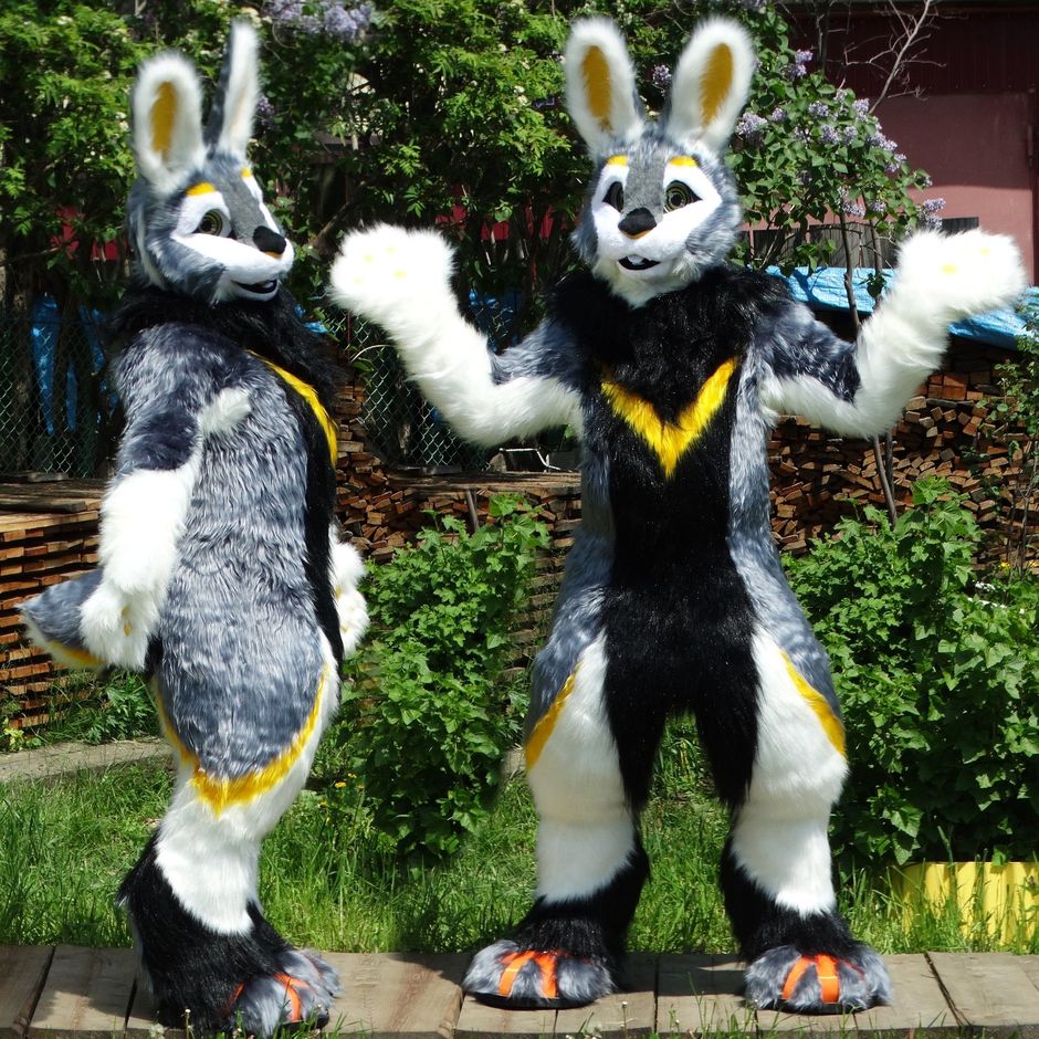 #furr_club #fursuit #KDub-The-Hare