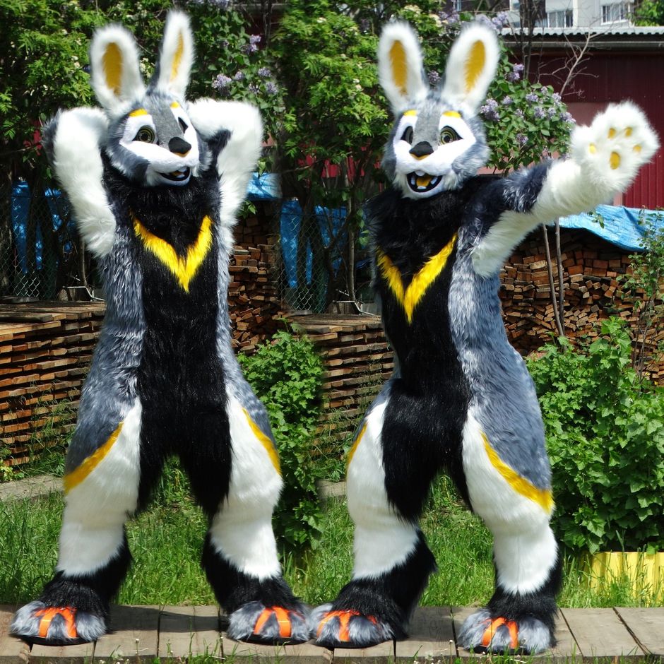 #furr_club #fursuit #KDub-The-Hare