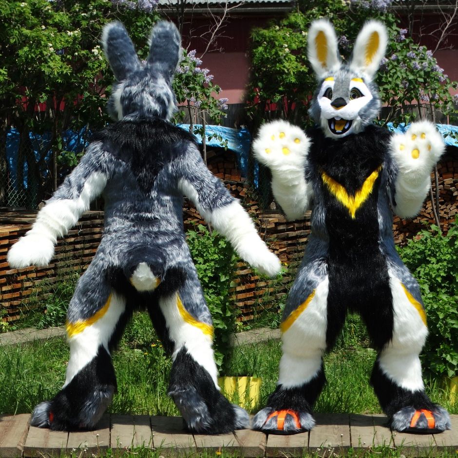 #furr_club #fursuit #KDub-The-Hare