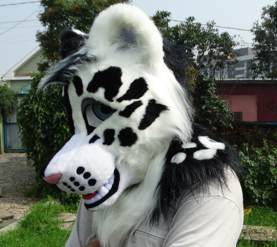 #Leopard_fursuit #furr_club #fursuit #leopard