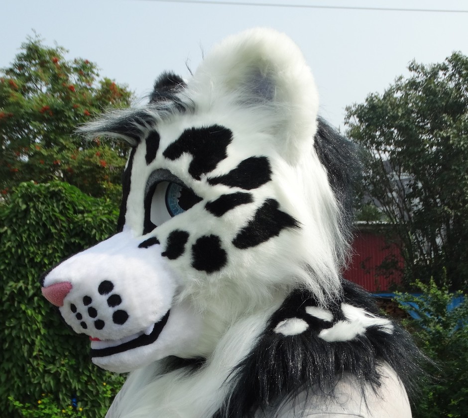 #Leopard_fursuit #furr_club #fursuit #leopard