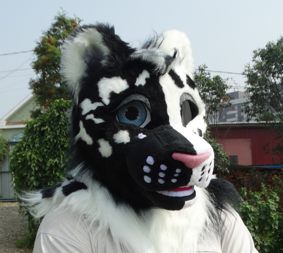 #Leopard_fursuit #furr_club #fursuit #leopard