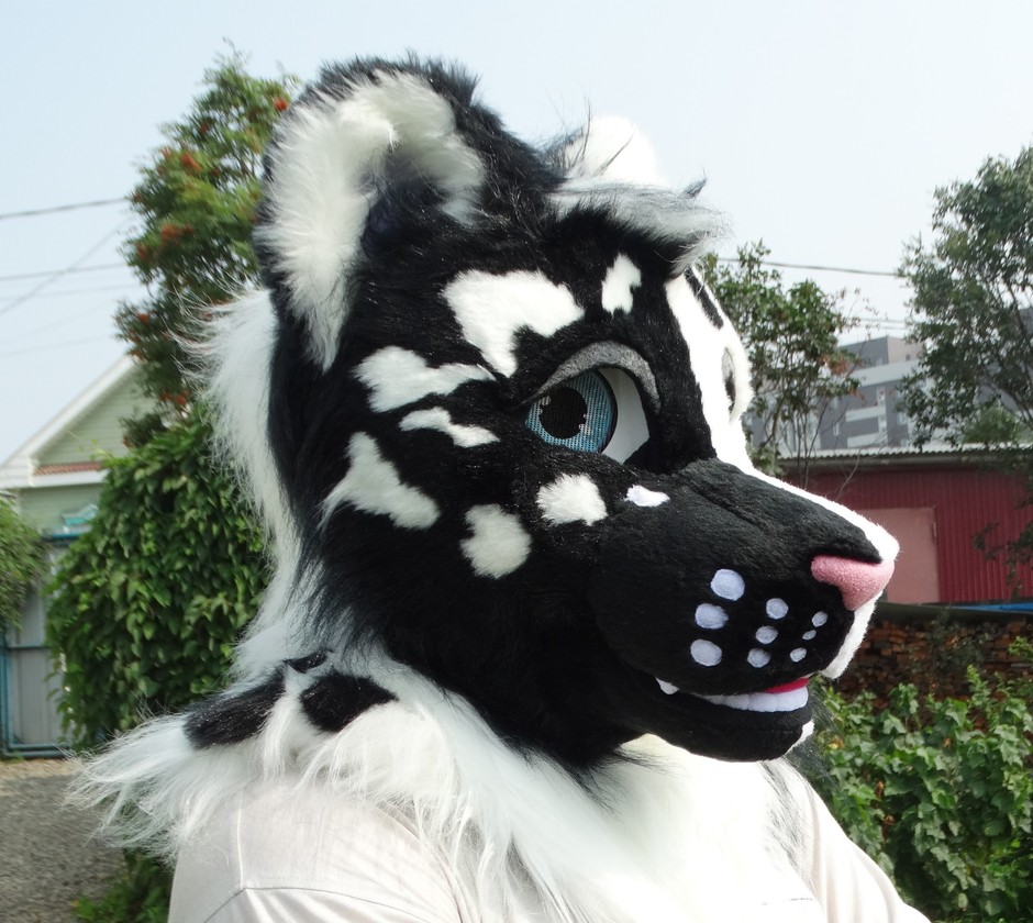 #Leopard_fursuit #furr_club #fursuit #leopard