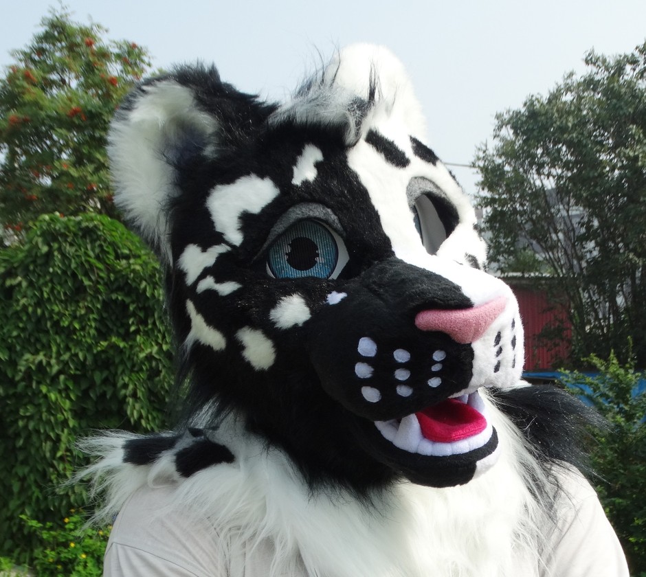 #Leopard_fursuit #furr_club #fursuit #leopard