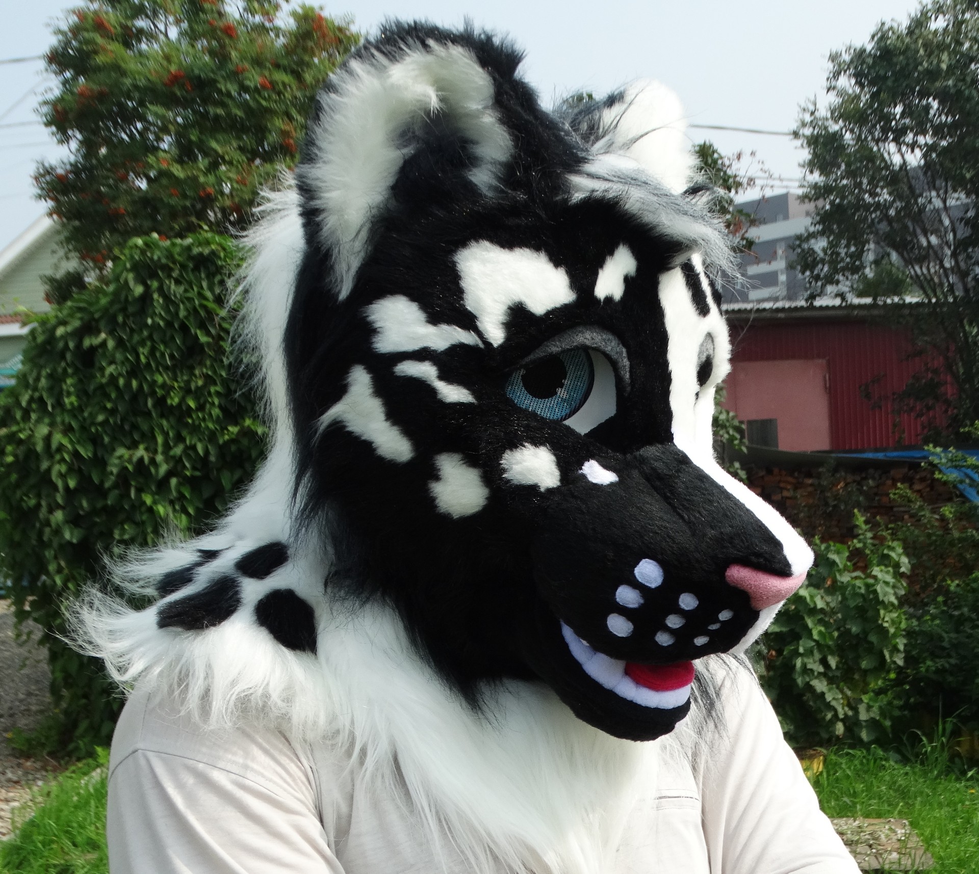 #Leopard_fursuit #furr_club #fursuit #leopard