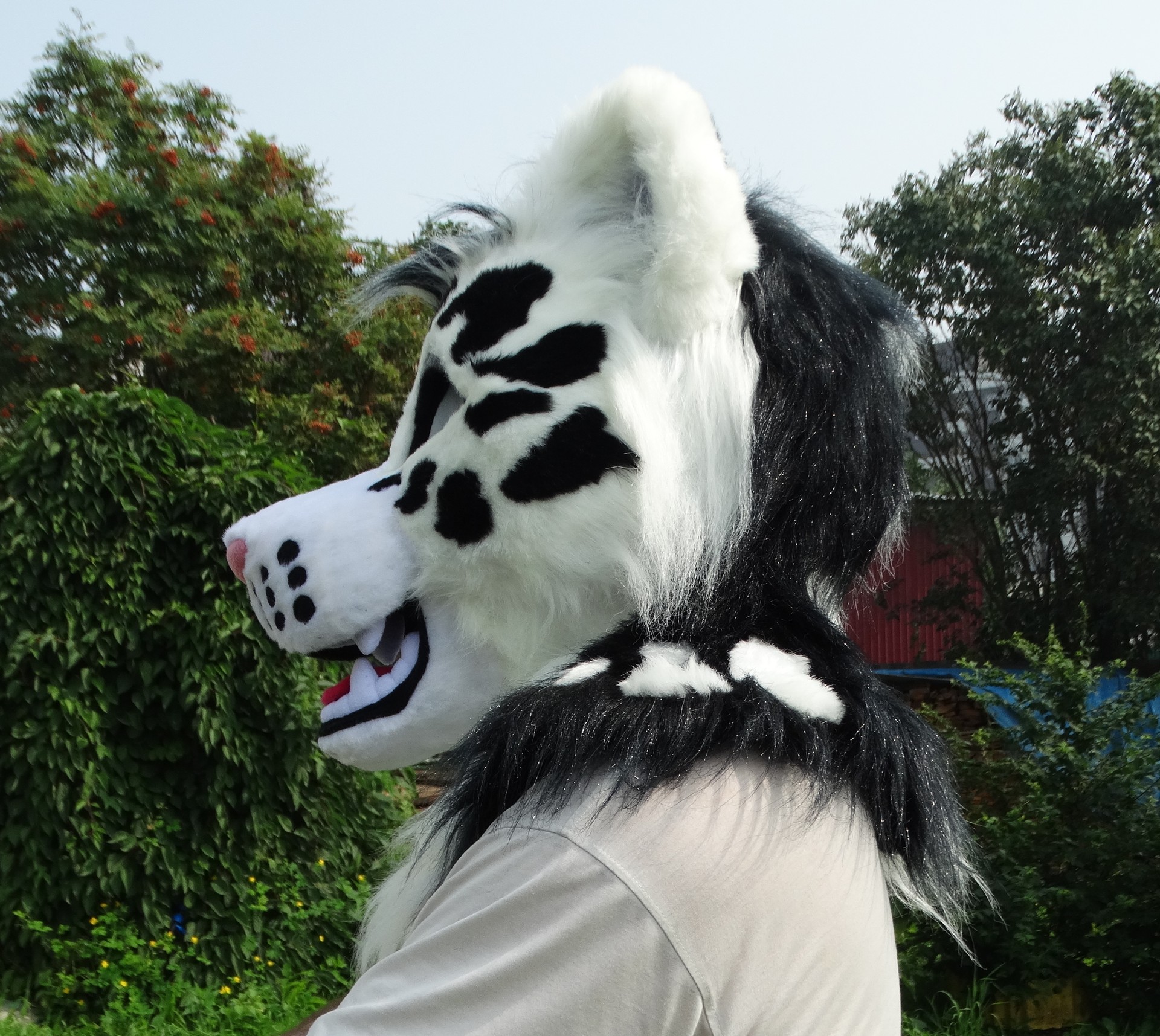 #Leopard_fursuit #furr_club #fursuit #leopard
