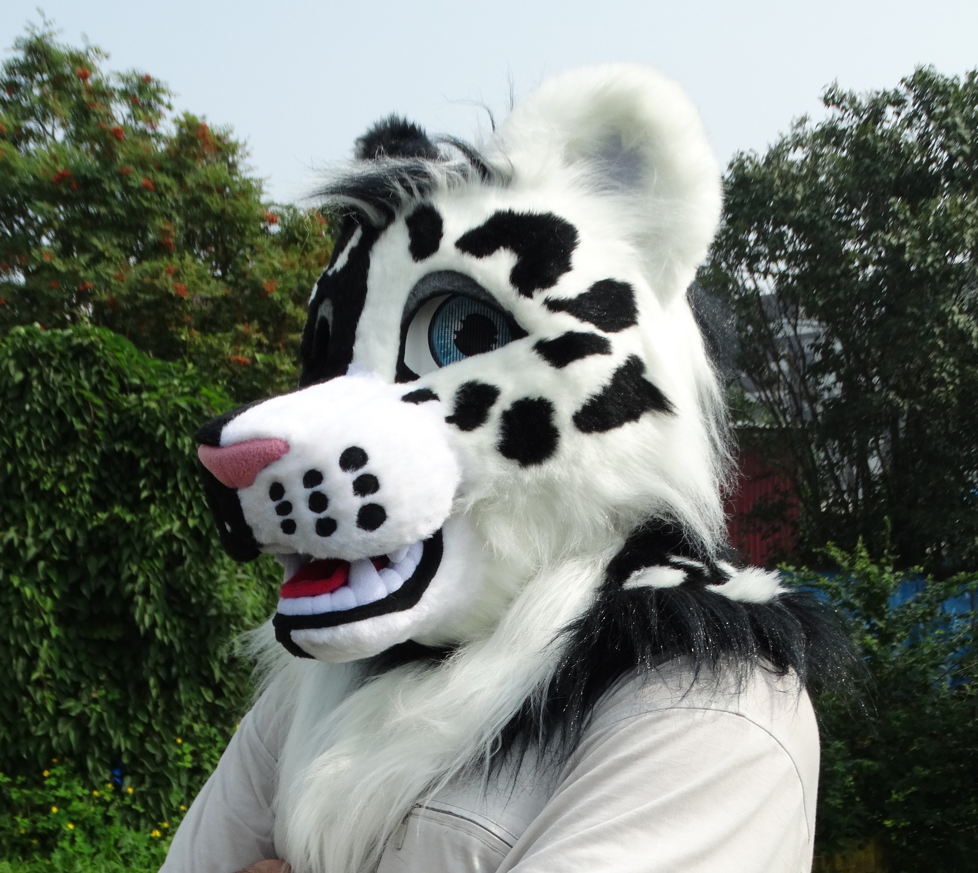 #Leopard_fursuit #furr_club #fursuit #leopard