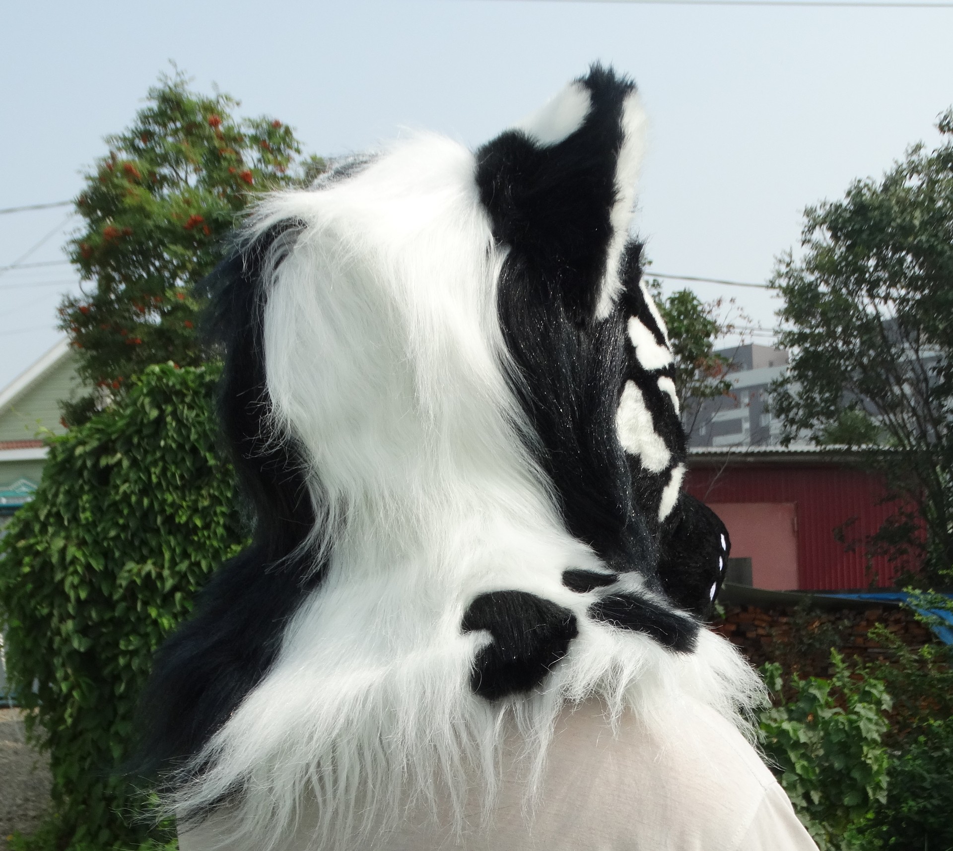 #Leopard_fursuit #furr_club #fursuit #leopard