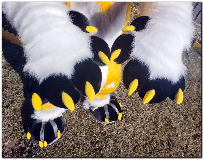 Paws design of Dog fursuit #furr_club #fursuit #Paws
