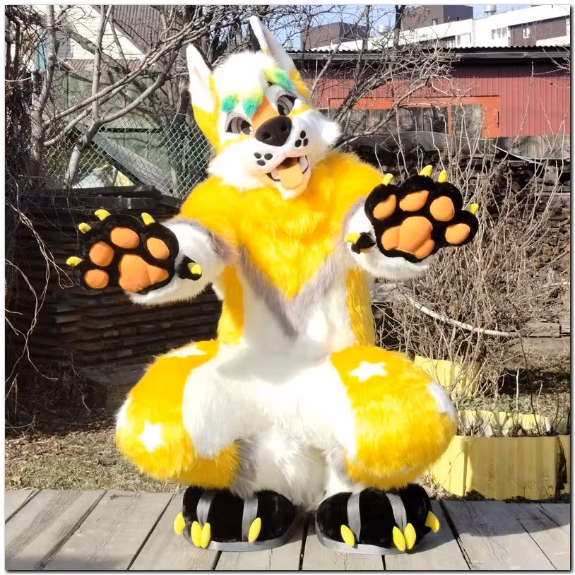 Dog fursuit